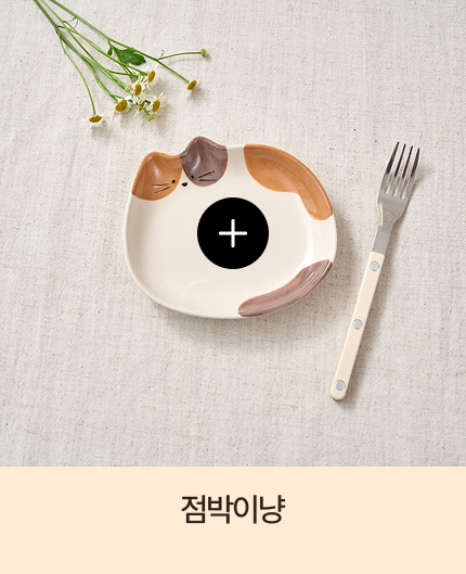 L �׳��� ������ �����̳� D13	