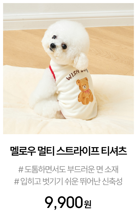 �꺻) ���ú��� ������Ʈ Ƽ����_L_HOLLY